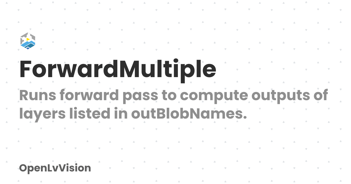 ForwardMultiple | OpenLvVision
